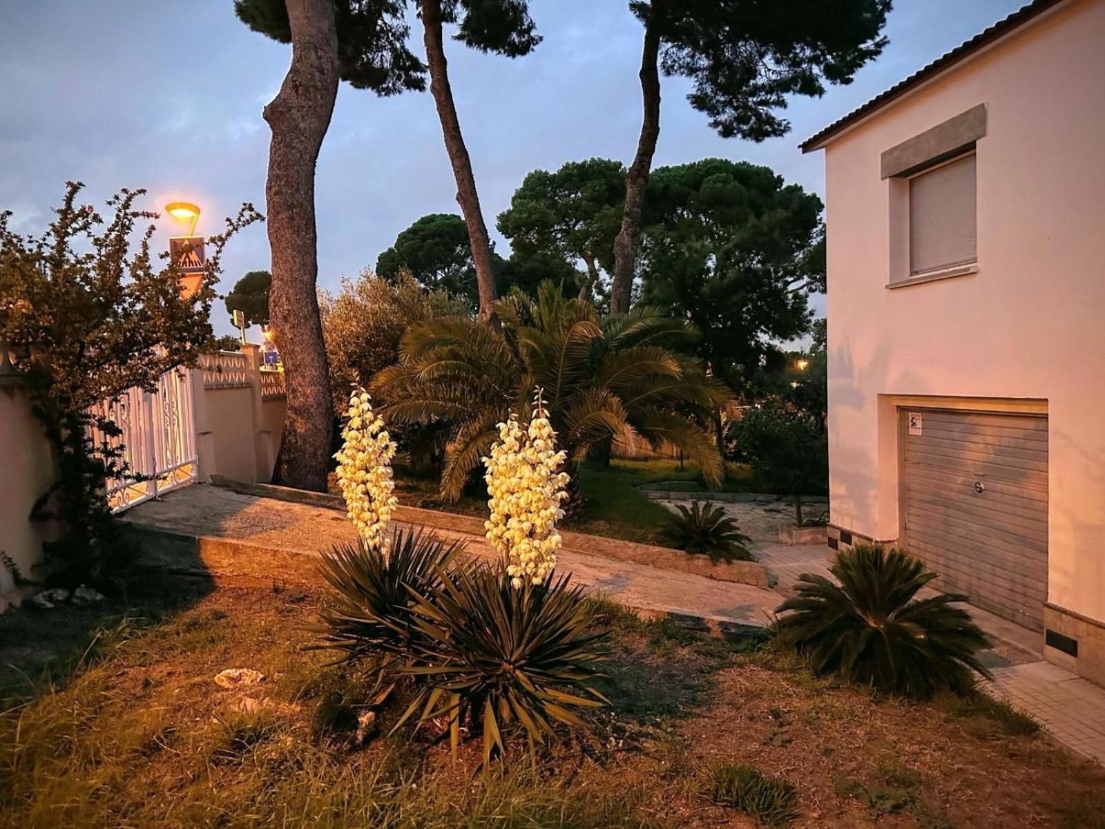 Casa La Pineda Salou, Playa Y Port Aventura Exterior foto